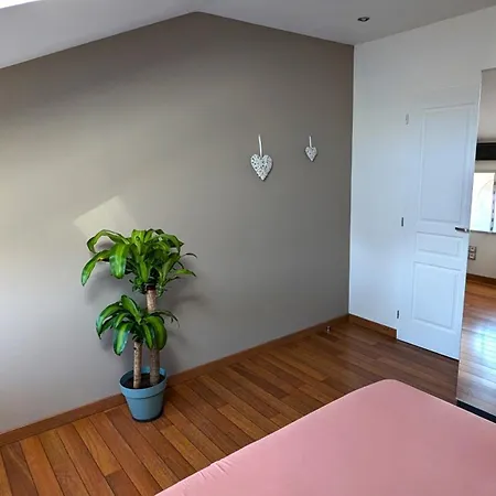 Lägenhet Moderne Proche Avec Terrasse Et Climatisation Hyères